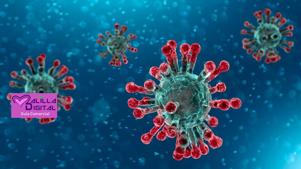 ENCUESTA |Malilla frente al Coronavirus