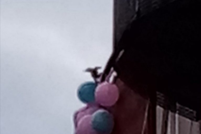 La Columna de… “Andrea Moliner” | “Diario del Confinamiento” (Día XXXIV)