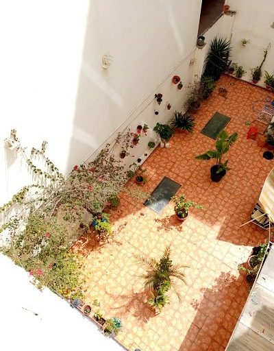 La Columna de… “Andrea Moliner” | “Diario del Confinamiento” (Día XXXVIII)